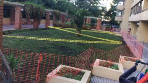 Mejoras en Jardín Interior